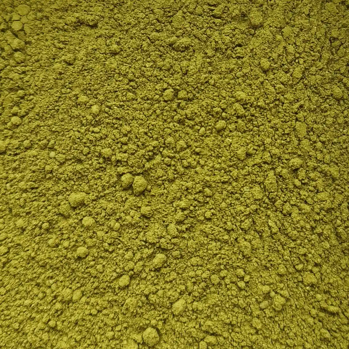 Ein Bild zeigt eine Makroaufnahme des SuperPowder Bio-Moringapulvers