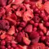 Ein Bild zeigt eine Makroaufnahme der gefriergetrockneten roten Beeren von Nutripur