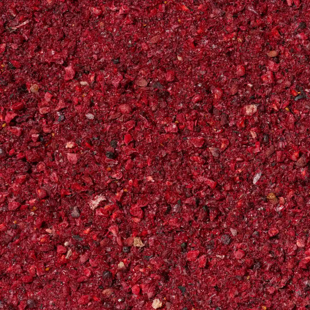 Ein Bild zeigt eine Makroaufnahme des gefriergetrockneten Waldbeer-Fruchtpulvers von Nutripur